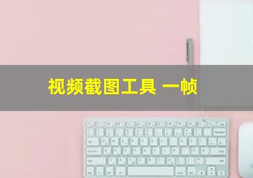 视频截图工具 一帧